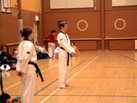 taekwon-do (green belt 10.12.2006)